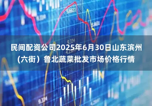 民间配资公司2025年6月30日山东滨州(六街）鲁北蔬菜批发市场价格行情