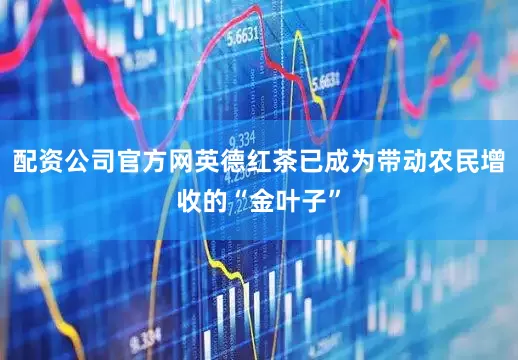 配资公司官方网英德红茶已成为带动农民增收的“金叶子”