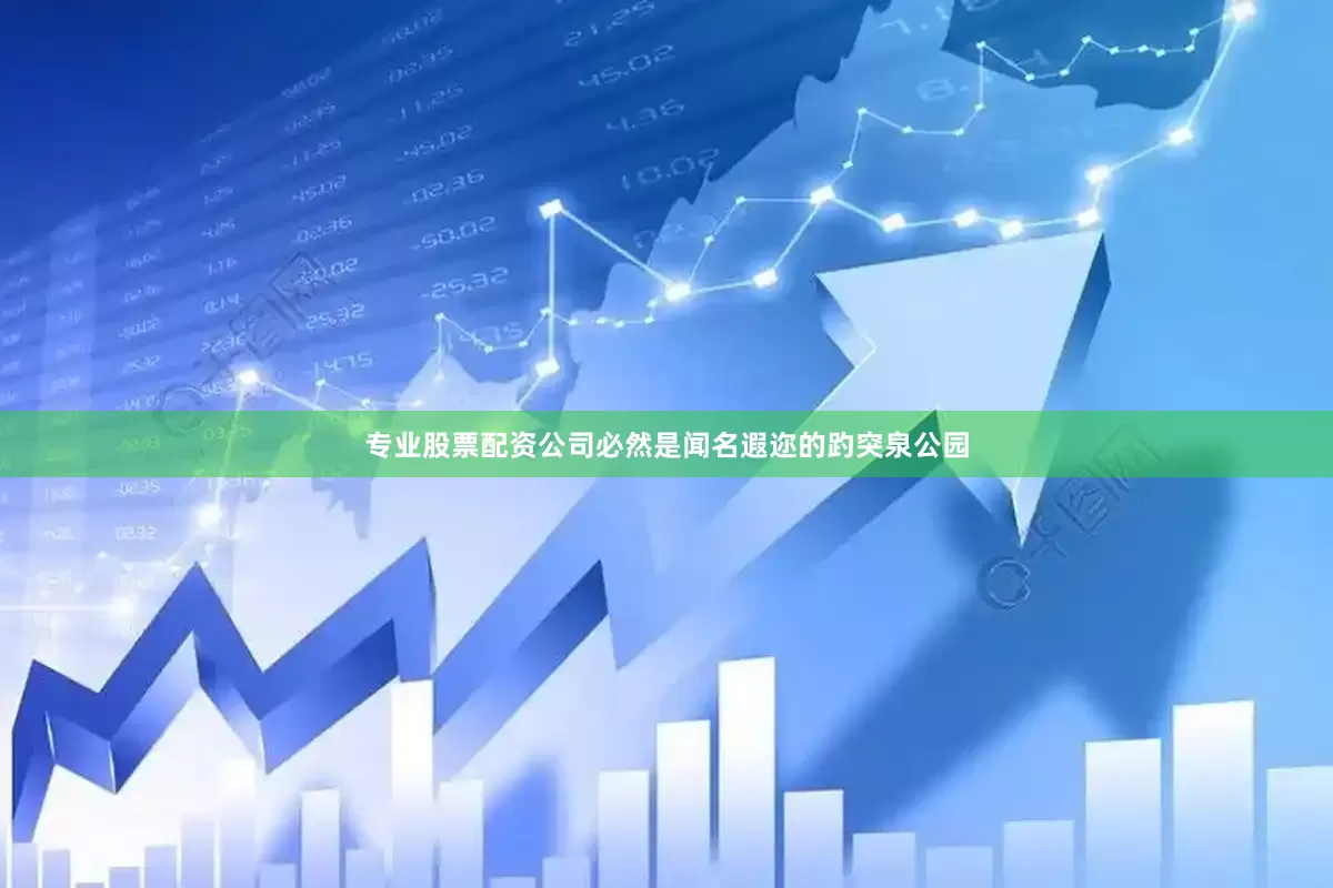 专业股票配资公司必然是闻名遐迩的趵突泉公园