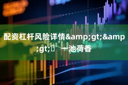 配资杠杆风险详情&gt;&gt;▶ 一池荷香